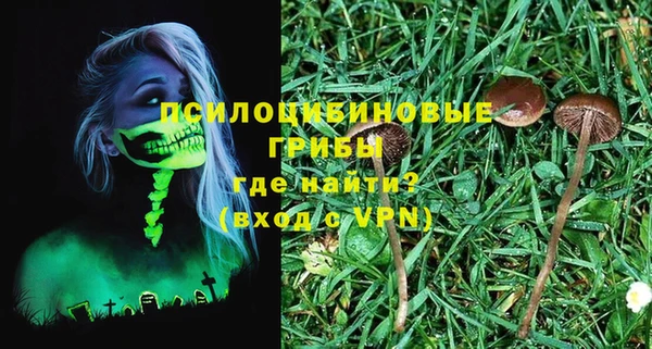 спайс Белокуриха