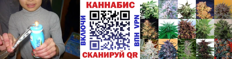 Конопля индика  Магас 